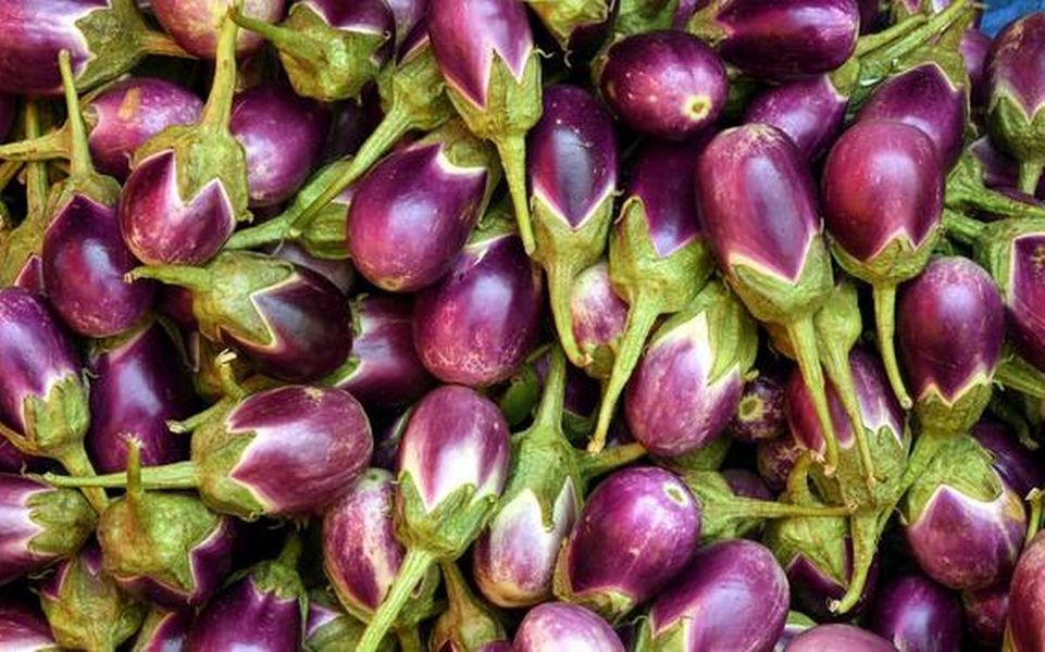 Brinjal Small / बैंगन छोटे (500 GMs)