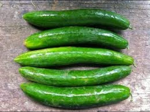 Sponge Gourd / गिल्की (500 GMs)