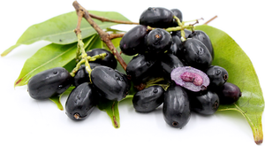 Indian Blueberry/ Black Plum / जामुन (500 GMs)