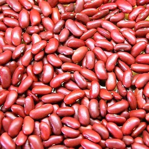 Kidney Beans Red / राजमा लाल  (500 GMs)